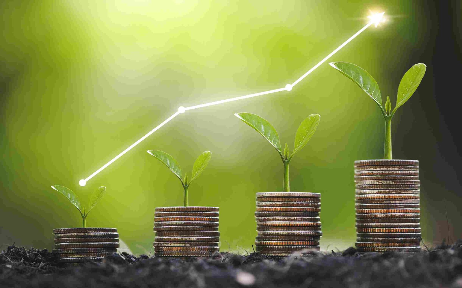 Transforming Finance with Sustainability and Empowerment